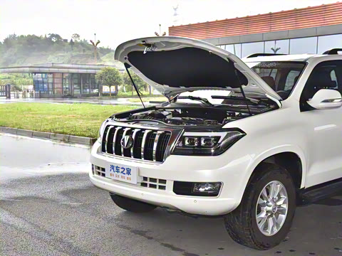 2023�� 4.6L V8 �캽��