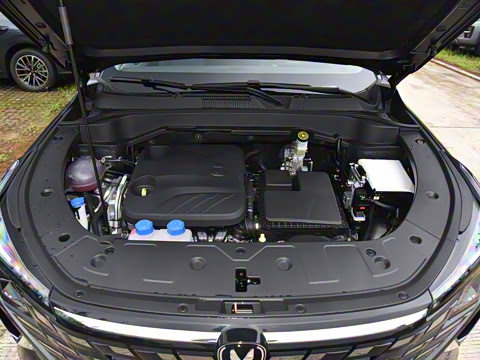 2025�� �ǻ������� 125km ս��+