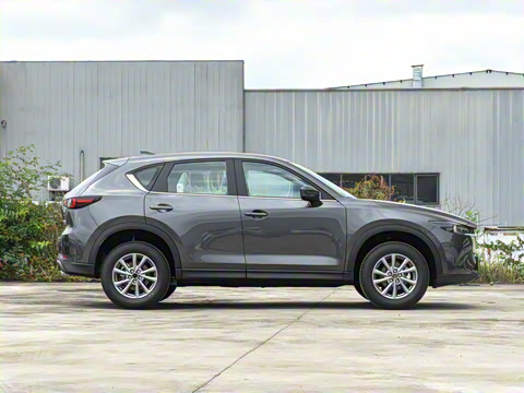 2025�� 2.0L �Զ���������Pro