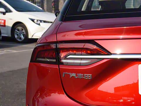 2019�� ����