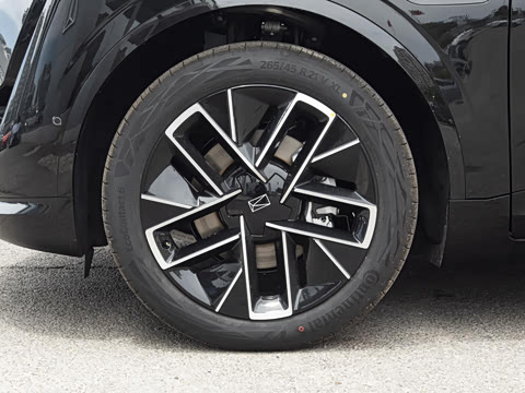 2025�� Max ���������