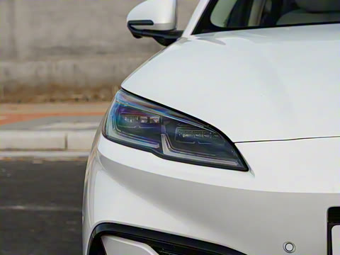 2025�� DM-i 80KM�����