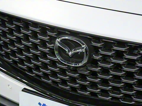 2023�� 2.0L ���а�