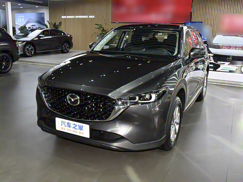 2025�� 2.0L �Զ�����������