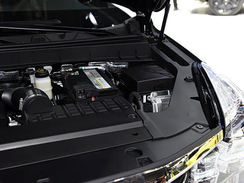 2020�� 390T ����������������棨������