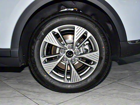 2025�� 445km ��ѡ��