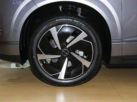 2025�� EV 605�캽Pro��