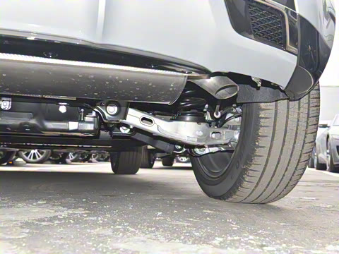 2022�� ����L P300e ���ʽ�綯��ϰ�