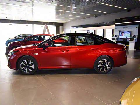 2019�� �� 530