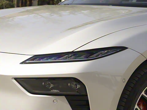 2025�� ���� 565����Max�캽��