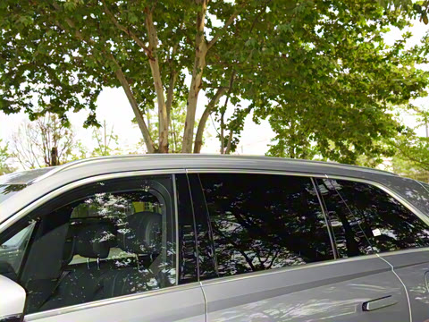 2023�� ��������������