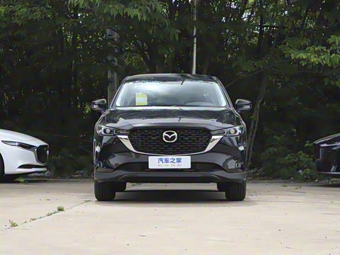 2024�� 2.0L �Զ�����������