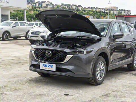 2025�� 2.0L �Զ���������Pro