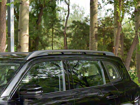 2026�� 2.0T DCT�л���԰Ȯ��