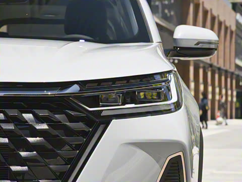 2022�� 290T ������嫰� 5��