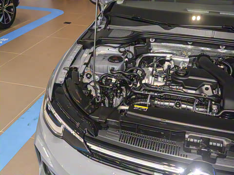 2025�� �Ŀ� 300TSI Pro