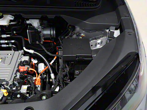 2025�� 520���а�