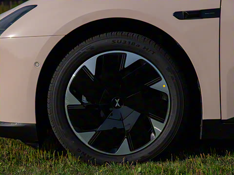 2025�� 600 �������� Max