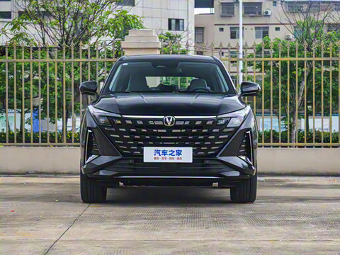 2025�� �ǻ������� 125km ������