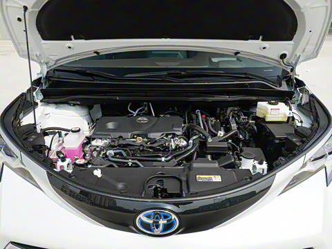 2023�� 2.5L�춯 �����