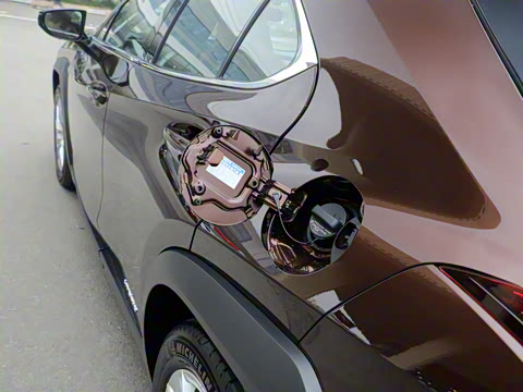 2020�� 260h ̽�����