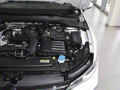 2025�� �Ŀ� 300TSI Pro