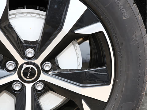 2026�� B5 �������ݺ�����