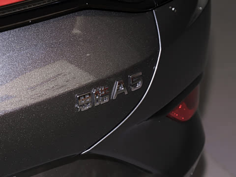 2021�� 1.5T �ֶ�������