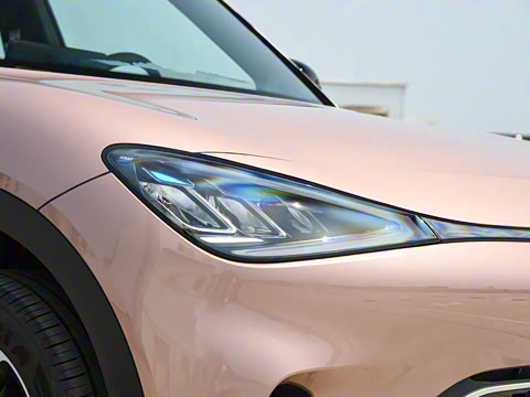 2026�� �鶯������