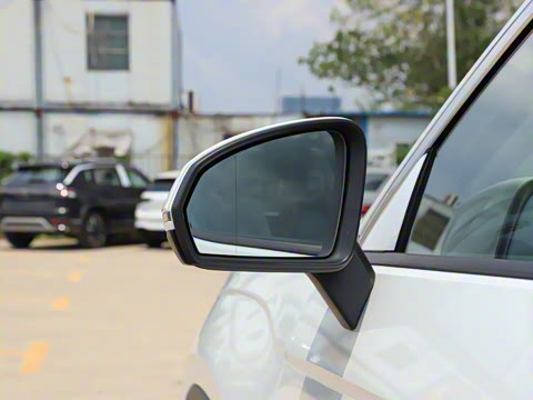 2025�� �Ŀ� ������ 300TSI