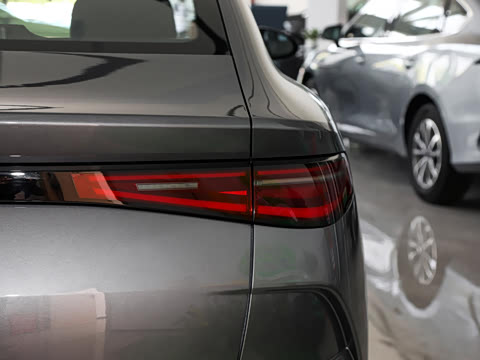 2025�� 520�ǻݰ�