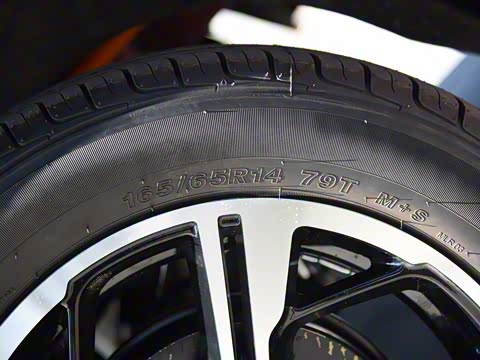 2019�� ���ʰ�