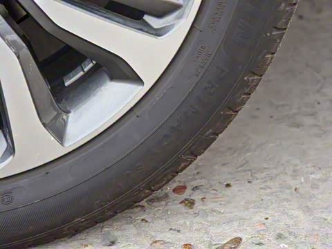 2019�� 30T ������������Ⱥ�����