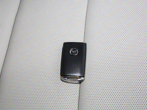 2021�� 2.0L �Զ������