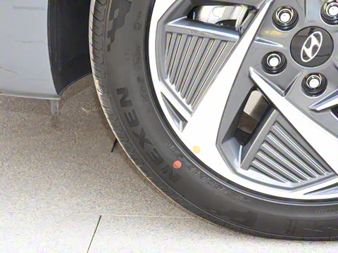 2021�� DLX�����