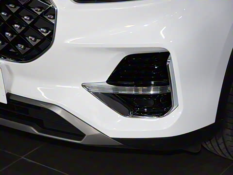 2021�� 290TGDI DCT���а�