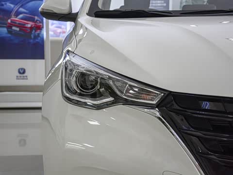 2019�� 1.5L DCT������ ��VI