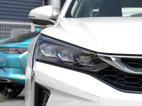 2020�� 230T �Զ��ſ�������