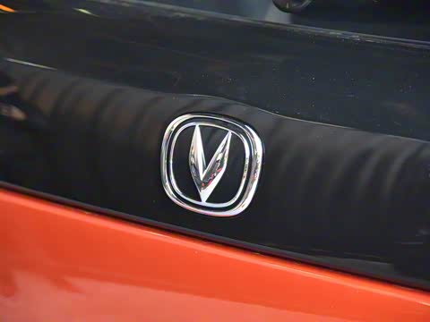 2019�� 1.5L �Զ��콢�� ��V