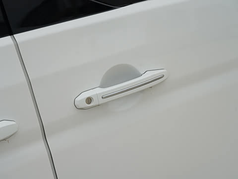 2021�� 1.5L �ͳ�����ʨ 7��