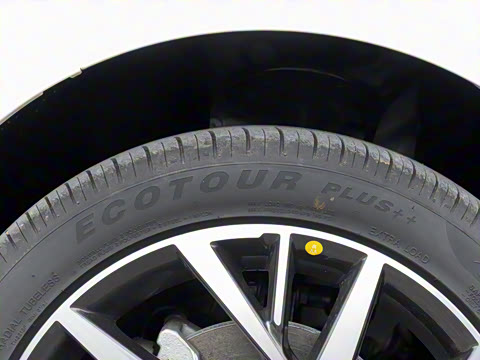 2020�� 230T �Զ��ſ�������