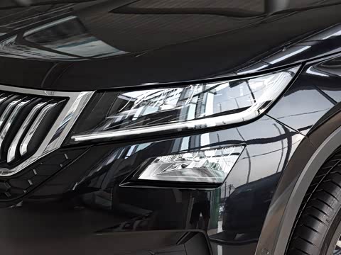 2019�� TSI330 ���������� ��VI