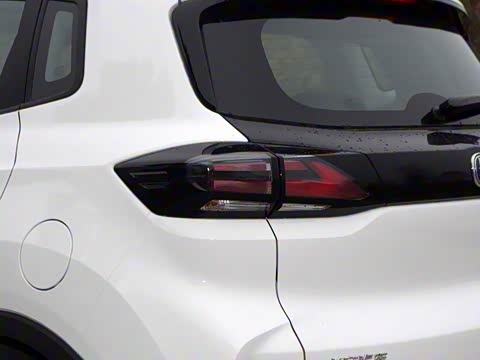 2020�� �����