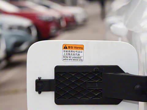 2019�� 30T ������������Ⱥ�����