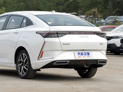 2020�� 230T �Զ��ſ�������