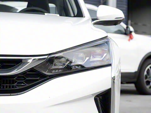 2020�� 230T �Զ��ſ�������