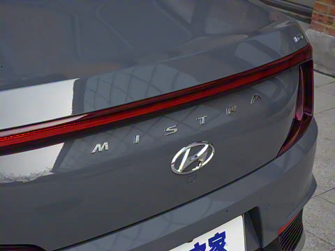 2021�� DLX�����