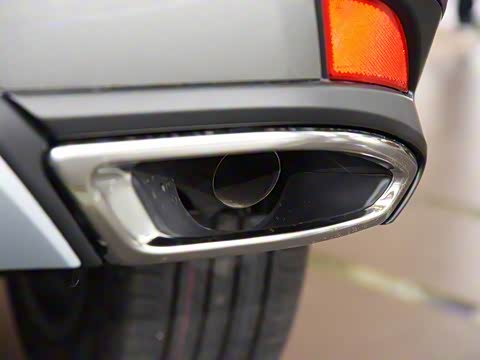 2020�� 300 �������Ű� ��VI