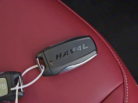 2021�� ������ 1.5T �Զ�����Supreme