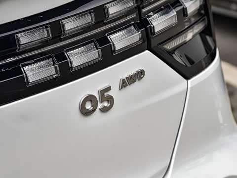 2020�� 2.0TD ������Plus